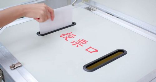 18歲公民權11/26投票 中選會明發布修憲案公民複決公告