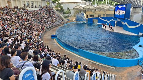 遊樂園3折門票優惠倒數 觀光局:10/7最後一天