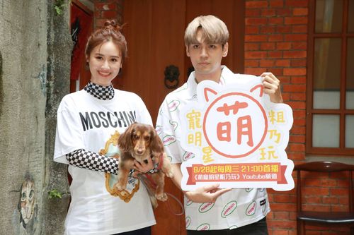 吴姗儒押宝Lulu夺金钟 敲碗黄子佼牵手小S阿宝等开奖