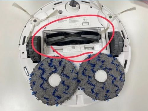 掃地機器人成抓姦神器!集塵盒異響掏出這玩意 她暴怒:辣撒咪啊