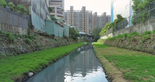 新北蘆洲鴨母港溝不再髒亂惡臭 上游歷時6個月改善完成