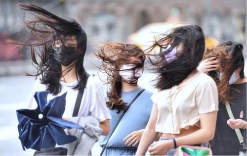 《台北女子圖鑑》惡評如潮！網PO新竹女子圖鑑別苗頭　在地人朝聖超認同