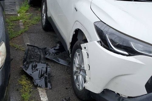 愛車停新北停車場無辜損壞　無言！「忠實的好友」竟然是兇手