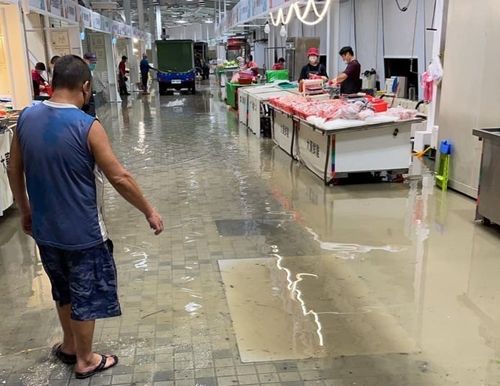 樹林保安市場斥資億元開幕就淹水　市府駁疏失！綠營譏「難道要怪水淹進去？」