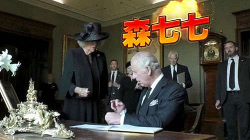 簽名時拿到漏水筆　英王查理三世怒飆：受不了這該死的東西