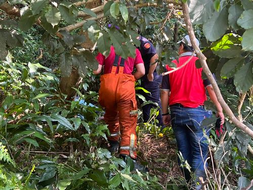 婦登山摔倒昏迷近3日　桃園警向天搶命！調閱上百筆資料終找到她