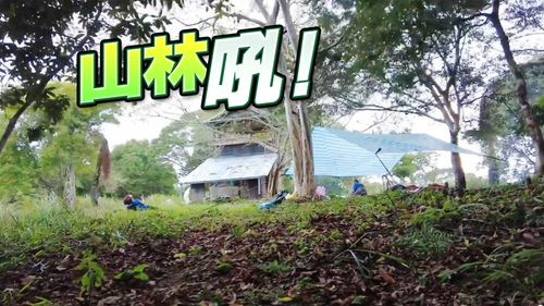 花蓮海拔1千公尺遇強震　天搖地動「山鳴」像野獸吼影片曝光