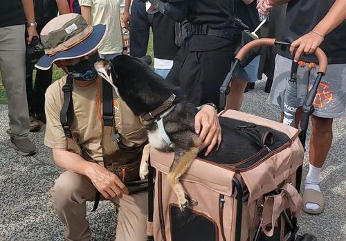 當邁邁遇到麥麥 陳其邁參加野營趴人氣滿滿