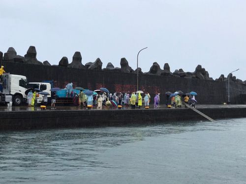 台人去年放生1200萬條魚 10/1起嚴管!觸法最高噴15萬元