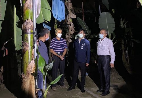 蕉农安心!高市府联合卖场、推广多元措施 香蕉价格终平缓