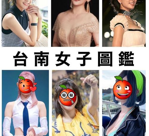 「台南女子圖鑑」引關注!6美爭奇鬥艷 名模戰神女神都上榜