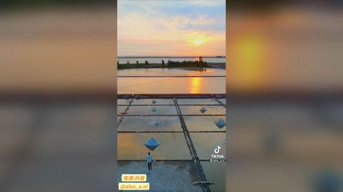 夕陽無限好 鹽田的夕陽更是令人驚嘆