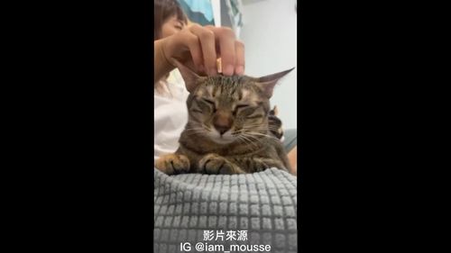  這力道真舒服　再用力一點抓不要停呀！	