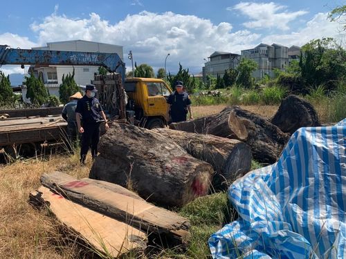 自家土地囤大批漂流木　警登門查山老鼠竟持偽造證明矇混遭識破