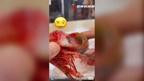 現撈海鮮就是讚!宜蘭頭城大溪漁港 碳烤CP值超高讓人口水直流