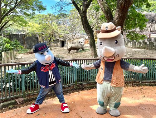 壽山動物園「犀」手義大世界祝賀專屬日 認養白犀牛免費入園送潮帽