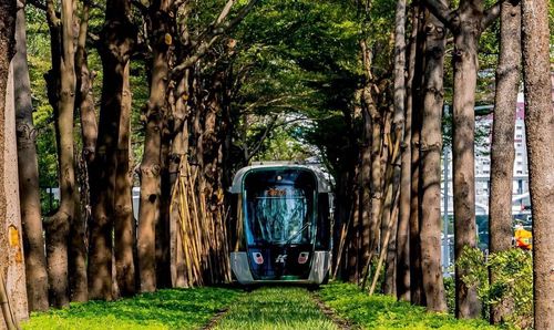 遲來的龍貓隧道|柯指陳菊沒規劃好 邁營反吐「韓國瑜去選總統停擺」