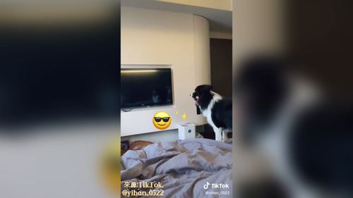 看到鏡中的自己那個當下　我怎麼這麼帥