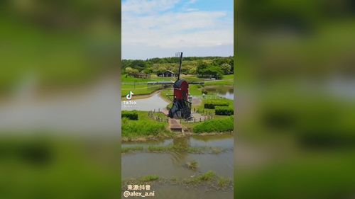不用出國也能看到荷蘭風車　讓人像置身在國外