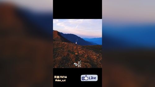 夕陽下染成金色的壯闊草原　天然的美景讓人流連忘返	