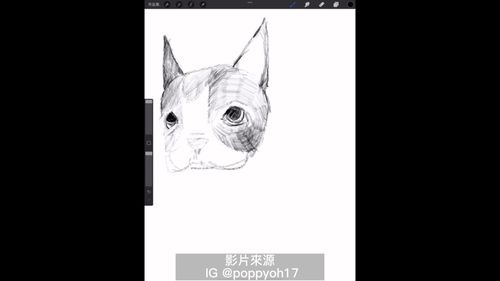 只要有心人人都可以成為畫家　用ipad pro也能畫出可愛的狗狗