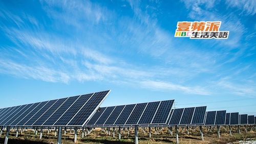 壹蘋派生活美語　太陽能板化身教師救星！