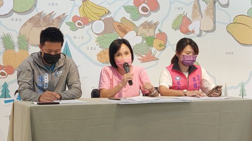 不打又老又穷了!柯志恩祭「青春不老城」计划 乐活六政见曝光