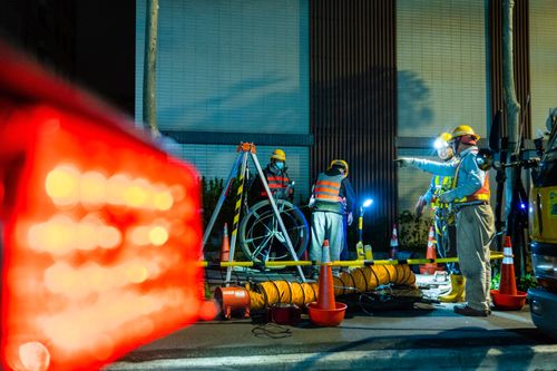 高雄9月頻停電影響1.8萬戶惹怨　台電：5成事故是「牠們」造成