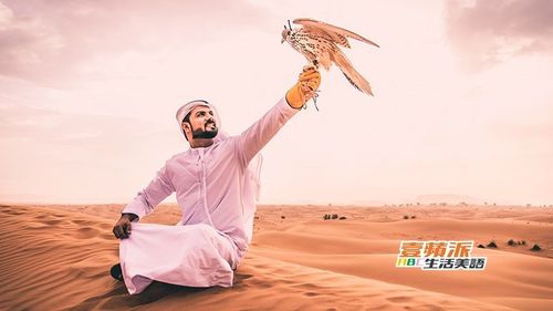 壹蘋派生活美語 來到卡達「隼」沒錯!(一)