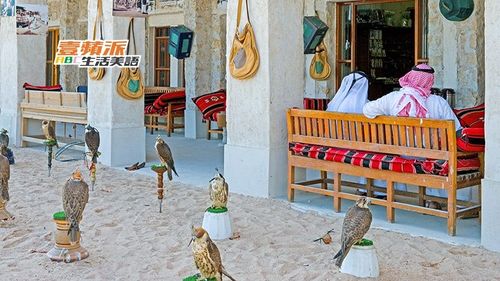 壹蘋派生活美語 來到卡達「隼」沒錯!(二)