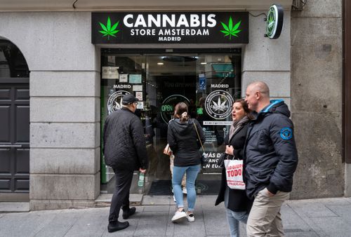 荷蘭擬禁觀光客呼麻　本周表決