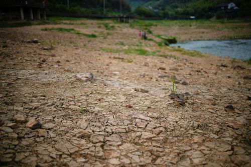 中國8月平均氣溫22.4度　61年來同期最高