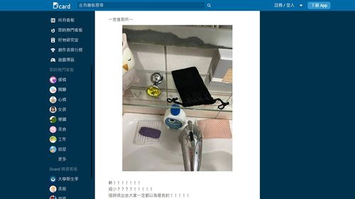 她公司如廁驚見「菊花版聲光姊夫」　網幫找藉口：便秘通一下