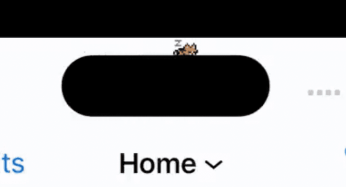 不只打乒乓 iPhone 14 Pro動態島還能養貓