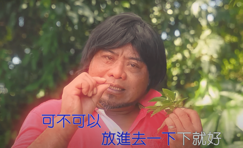 獨家|真實版《可不可以放進去一下下就好》!肉販偷吃家政婦 她嬌嗔:一下就好