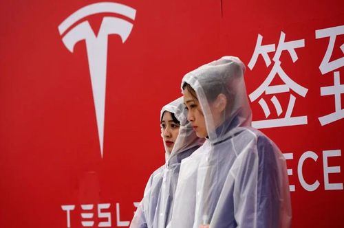 上海特斯拉工資待遇如何？　員工曝：績效普通月薪可破4萬