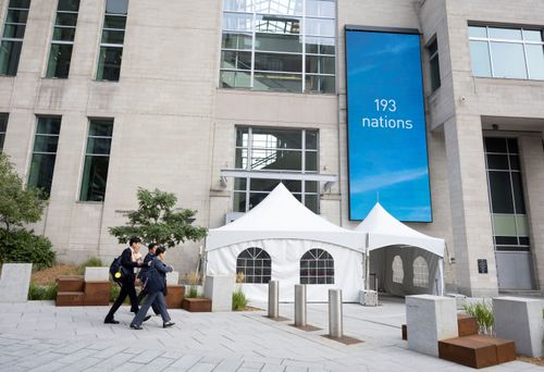 3友邦在國際民航組織年會發聲　籲讓台灣有意義參與