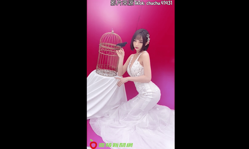 美女逗鳥姿勢一百　網笑「是康永哥的烏鴉嗎？」