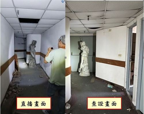 晚安小雞初四了！警追查證實擅闖黃金帝國　將依法究辦