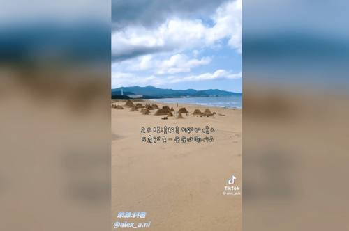 36座霹靂沙雕 超巨素還真降落福隆 布袋戲迷瘋狂