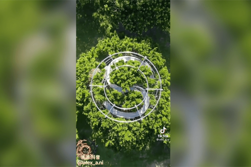 被綠色360度包圍　走入奇幻大樹宇宙迷宮