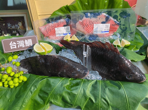 30萬張農遊券只發3萬張!藍委批亂砸錢 陳吉仲允:2周提精進方案