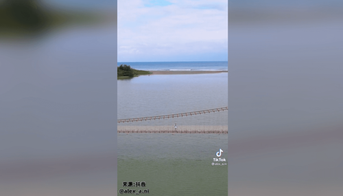 美到讓人腿軟　人氣吊橋飽覽出海口壯麗景色