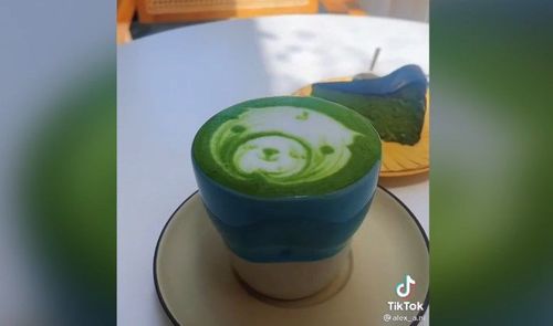 小熊拉花超可愛　文青風咖啡廳恬靜怡人