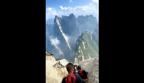 最驚險登山步道近90度垂直天梯　網驚「看了心臟差點跳出來」