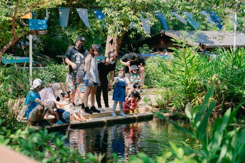 2022年永續城市大調查成績公布 新竹市獲頒「特優獎」等3大獎