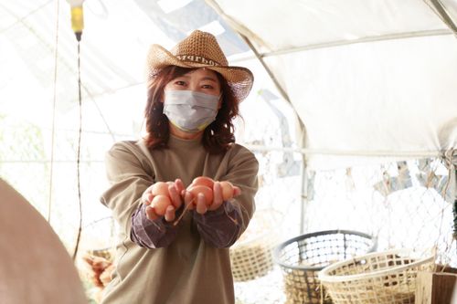沈慧虹帶隊下田做農活 「不只有科技業」提農村觀光政策行銷在地