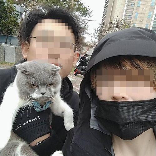 桃園無業男打死妻子伴屍10小時　雙方臉書早露端倪