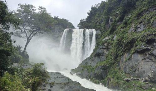 絕美影片|軒嵐諾送禮!雲林草嶺蓬萊瀑布壯麗水龍再現