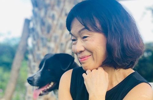  台東日日震「貓都嚇得變了個貓」！　龍應台曝兩張前後對比照：這不需憂慮嗎